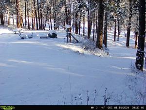 Click image for larger version

Name:	SwaukPinesSnow.jpeg
Views:	96
Size:	77.3 KB
ID:	22967