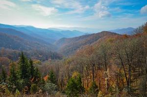 Click image for larger version

Name:	Great Smoky.jpg
Views:	392
Size:	20.1 KB
ID:	11189